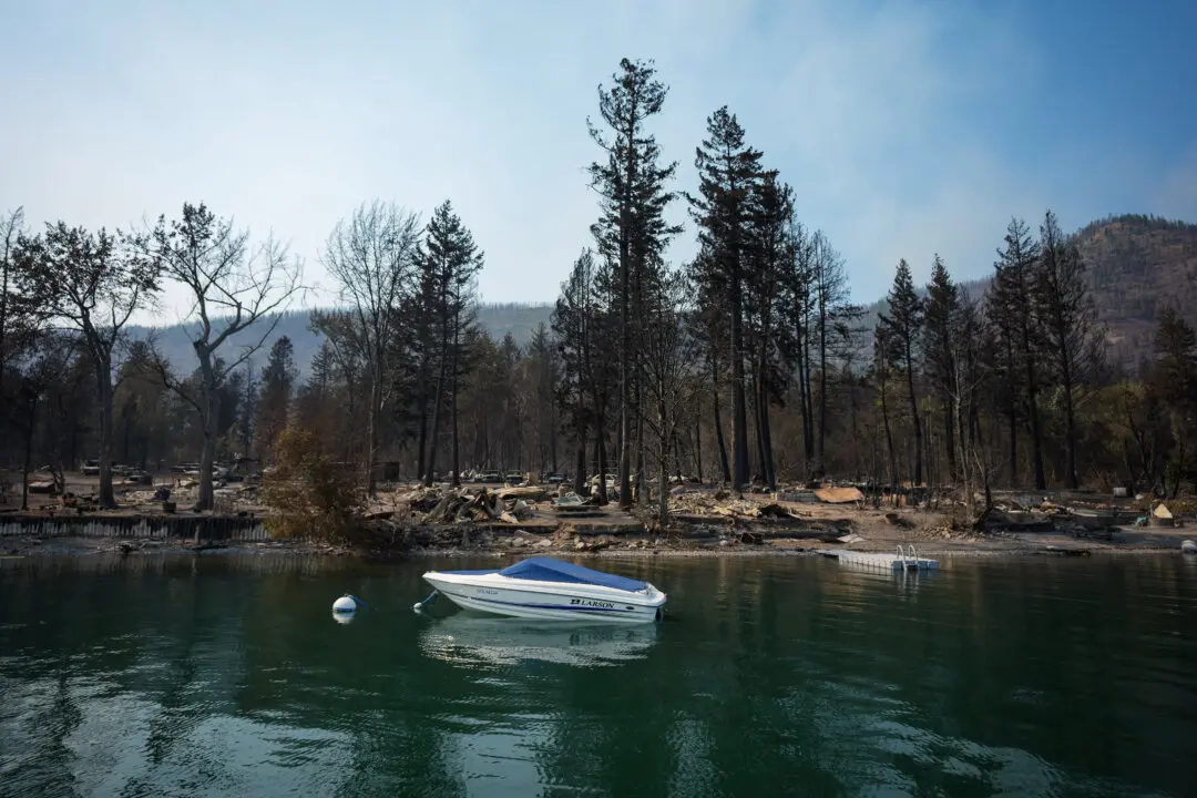 BC Police Launch Wildfire Arson Investigations, as Blazes Raise Trauma in Shuswap