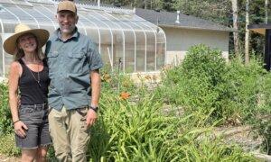 Calgary-Area Farm Restoring Soil Health Through Regenerative Agriculture