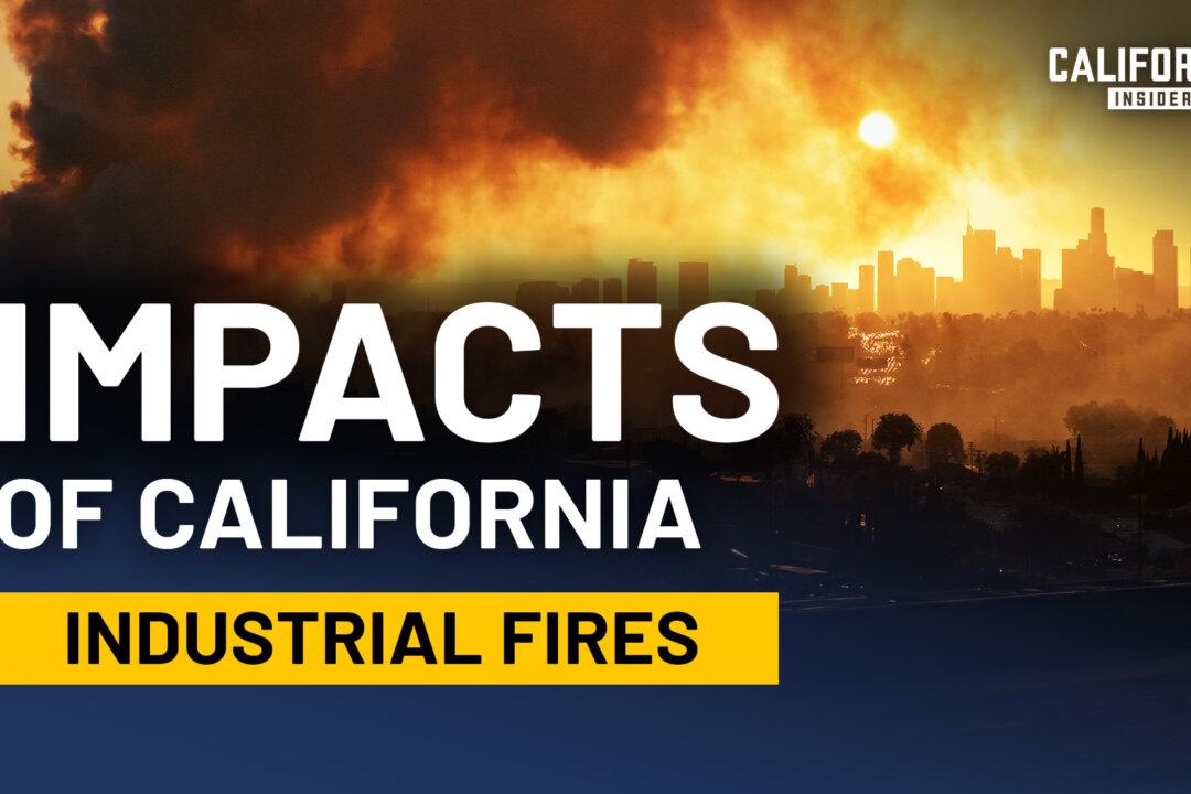 What California Chemical Fires Leave Behind | Michael Hogan