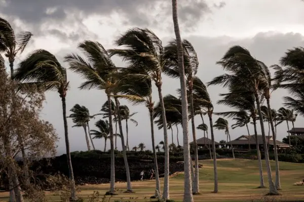 LIVE NOW: Hurricane Lala Nears Hawaii’s Big Island