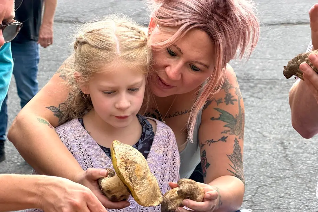 Fungi Fever: Hunting Mushrooms in the Grand Canyon State