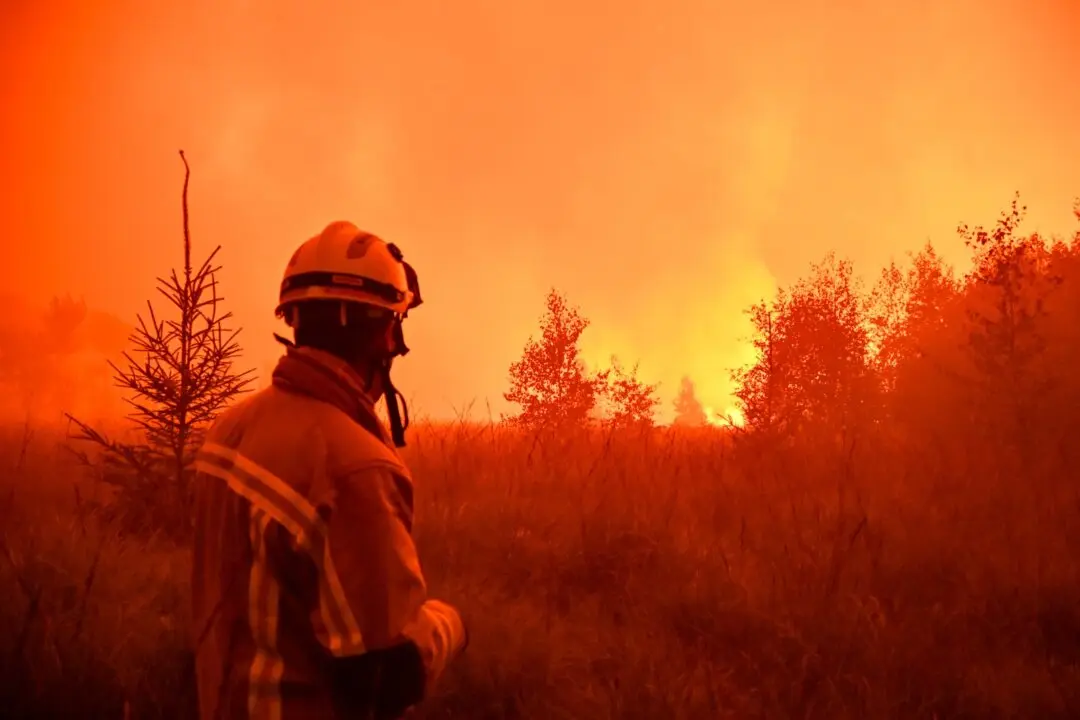 Belgian Wildfire Approaches Germany as Peat Blaze Threatens to Burn for Months