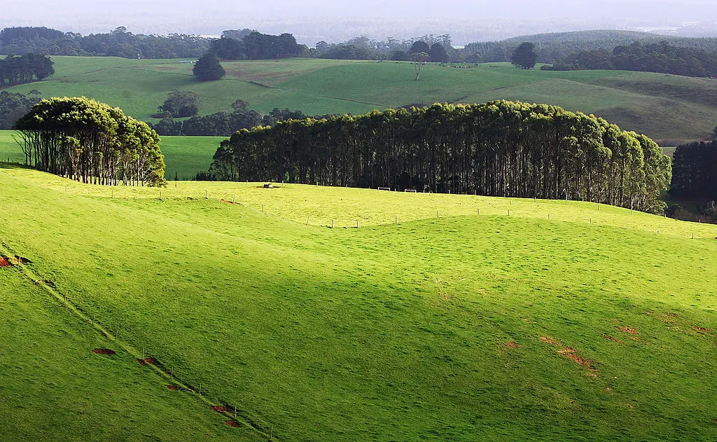 Senate Rejects Inquiry Into Sale of Tasmania’s Biggest Farm, 9,000 Hectares for Carbon Credit Use
