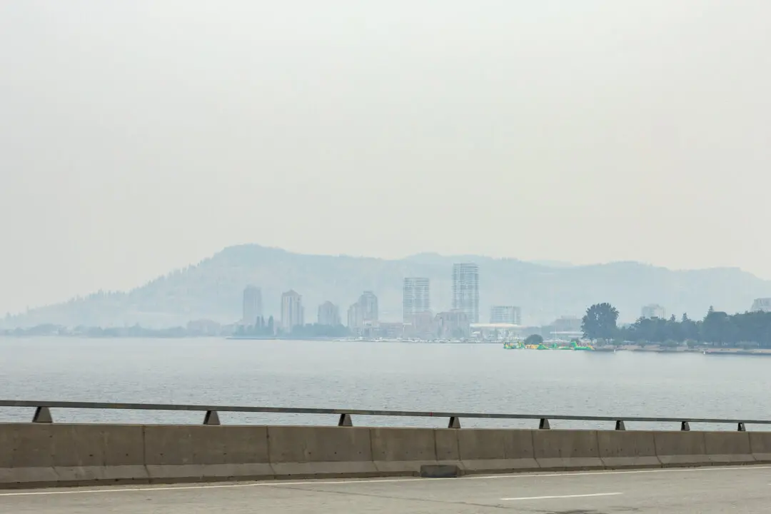 BC Giving Out Free N95 Masks as Wildfire Smoke Hangs Over Interior