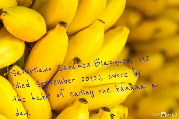 Salustiano Sanchez-Blazquez