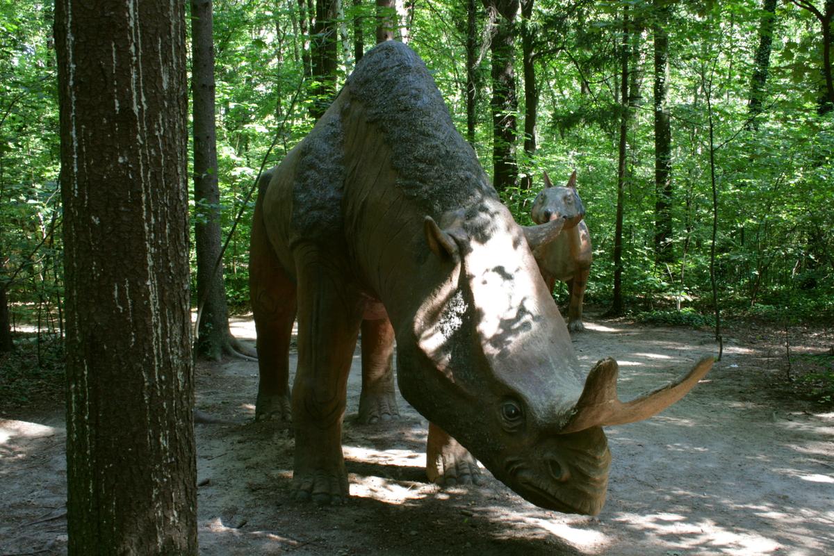 Megacerops