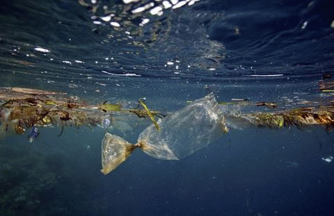 Consumer's packaging may be used only once, but it truly lives for ever, polluting our environment.<br/>New alternatives are being found, such as shopping with no packaging.