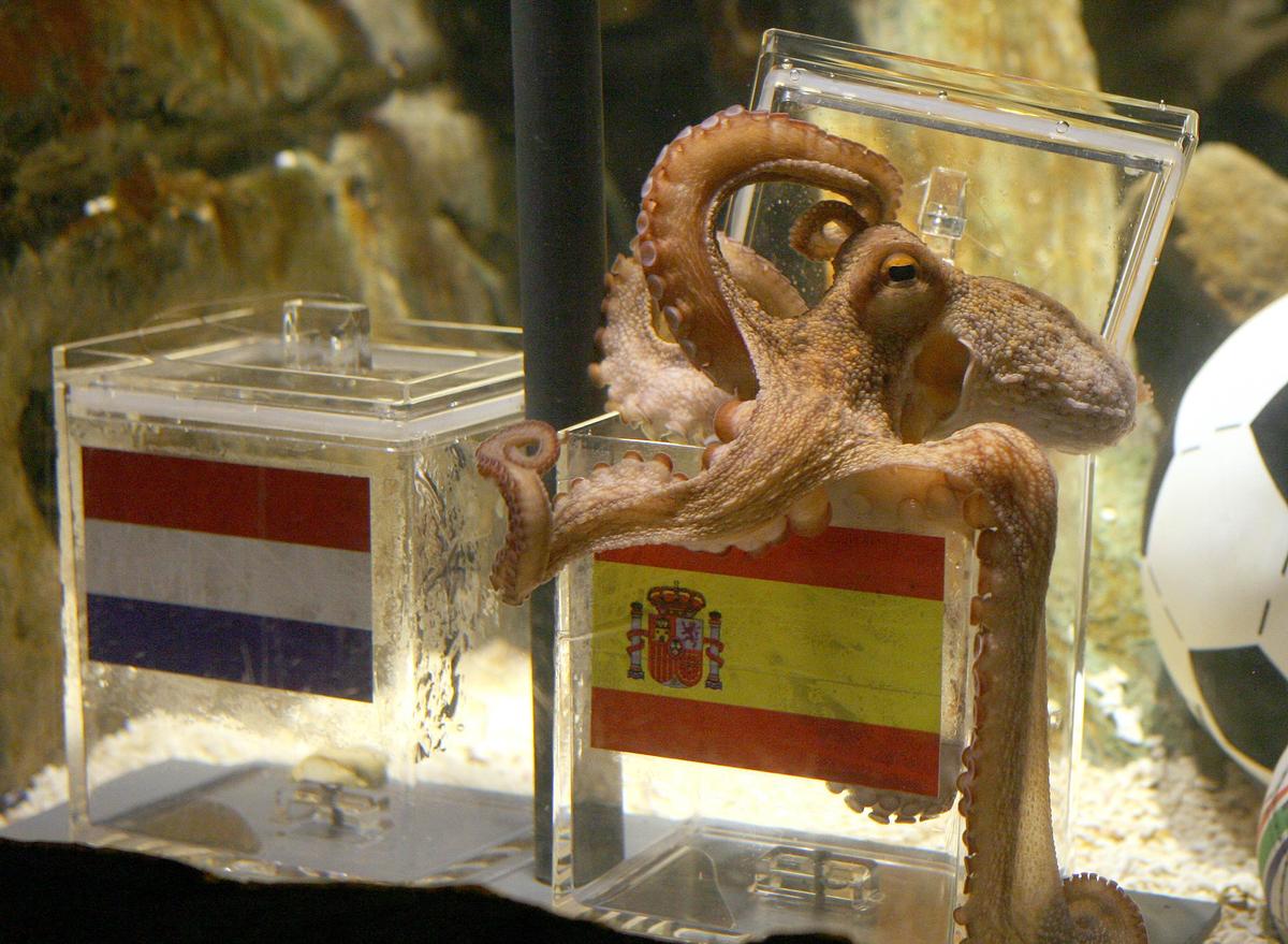 Paul the Octopus