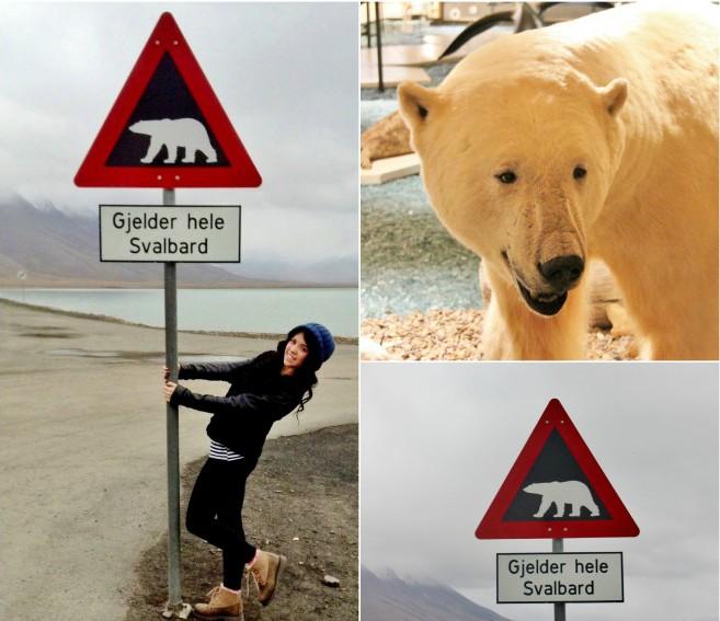 Longyearbyen (The Culture Map)