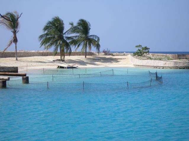 Jamaica (The Travel Magazine)