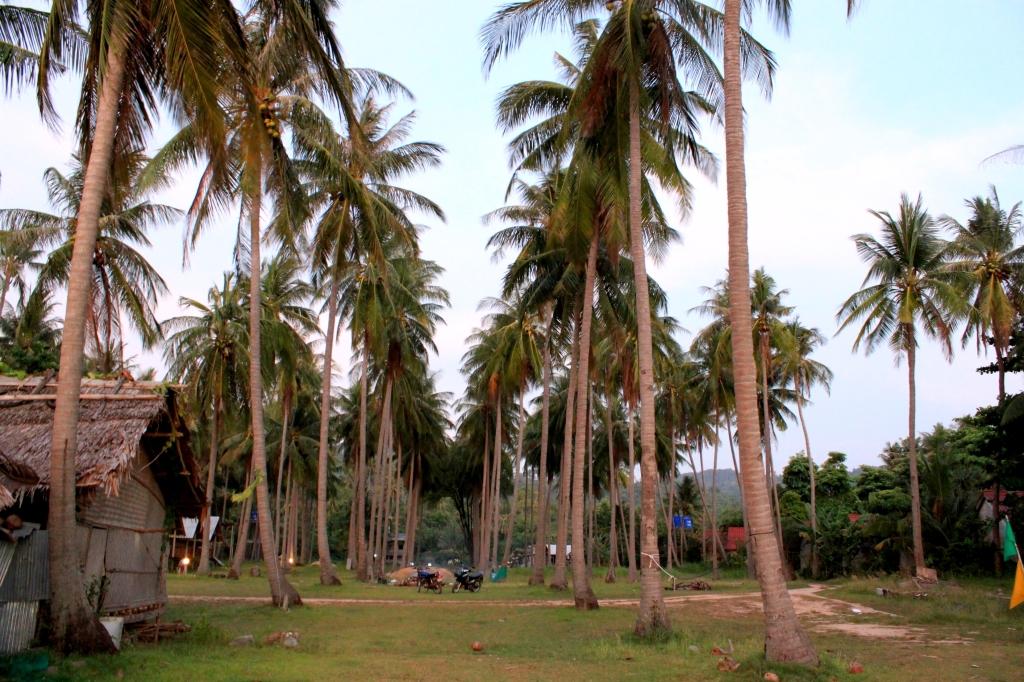 (Miriam Risager Adventurous Miriam)