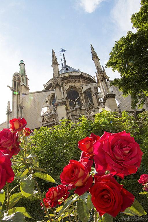 Notre Dame (Beth Williams, BesuDesu Abroad)