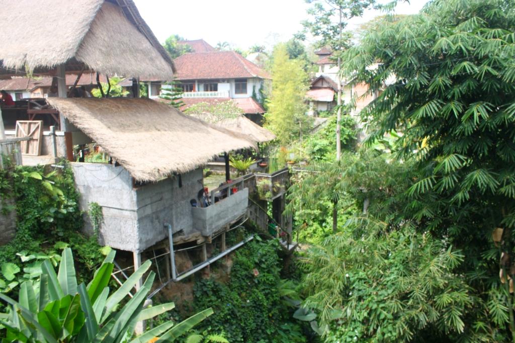Ubud, Bali (Miriam Risager, Adventurous Miriam)