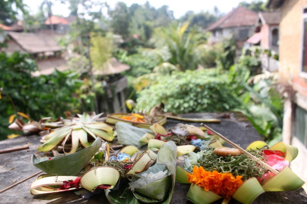 Daily offerings (Miriam Risager, Adventurous Miriam)