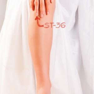 Right leg, right hand, St36 (tcm007.com)
