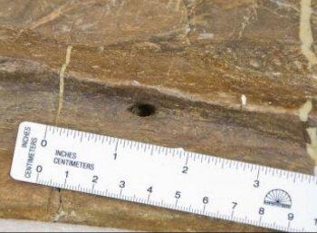 <a href="https://www.theepochtimes.com/assets/uploads/2015/07/33936_web_medium.jpg"><img src="https://www.theepochtimes.com/assets/uploads/2015/07/33936_web_medium.jpg" alt="Close-up of foramen in the femur of Centrosaurus apertus, a ceratopsian dinosaur. (Donald Henderson/Royal Tyrrell Museum)" title="Close-up of foramen in the femur of Centrosaurus apertus, a ceratopsian dinosaur. (Donald Henderson/Royal Tyrrell Museum)" width="320" class="size-medium wp-image-128857"/></a>