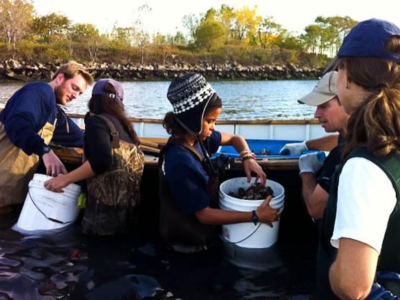 <a href="https://www.theepochtimes.com/assets/uploads/2015/07/NYHarborScool1.jpg"><img class="size-large wp-image-208865" src="https://www.theepochtimes.com/assets/uploads/2015/07/NYHarborScool1.jpg" alt="" width="590" height="433"/></a>