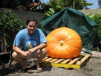 <a href="https://www.theepochtimes.com/assets/uploads/2015/07/pumpkin_medium.jpg"><img src="https://www.theepochtimes.com/assets/uploads/2015/07/pumpkin_medium.jpg" width="320" class="size-medium wp-image-137860"/></a>