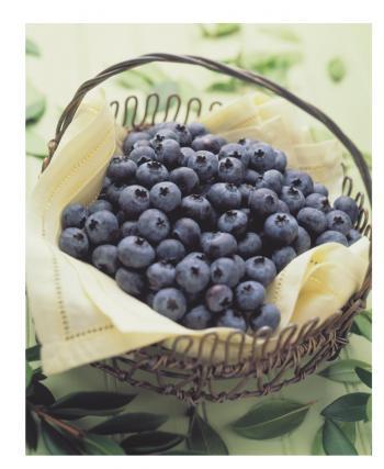 <a href="https://www.theepochtimes.com/assets/uploads/2015/07/scb_medium.jpg"><img src="https://www.theepochtimes.com/assets/uploads/2015/07/scb_medium.jpg" alt="British Columbia is the largest blueberry producer in Canada and the second largest in the world after Michigan in the United States. (Courtesy of the BC Blueberry Council)" title="British Columbia is the largest blueberry producer in Canada and the second largest in the world after Michigan in the United States. (Courtesy of the BC Blueberry Council)" width="320" class="size-medium wp-image-90415"/></a>