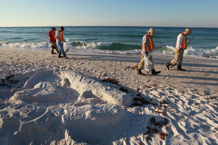 <a><img src="https://www.theepochtimes.com/assets/uploads/2015/09/101875059.jpg" alt="Workers are seen picking up the small amount of oil residue that has washed up on Pensacola Beach from the Deepwater Horizon oil spill in the Gulf of Mexico on June 8. (Joe Raedle/Getty Images)" title="Workers are seen picking up the small amount of oil residue that has washed up on Pensacola Beach from the Deepwater Horizon oil spill in the Gulf of Mexico on June 8. (Joe Raedle/Getty Images)" width="320" class="size-medium wp-image-1818903"/></a>
