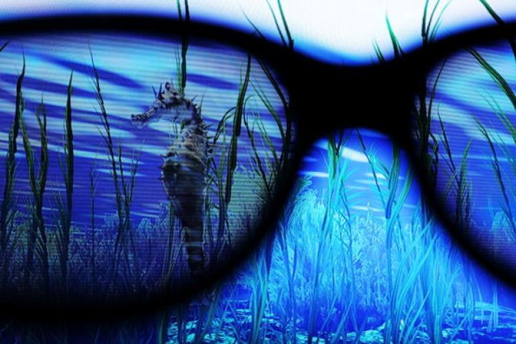 <a><img src="https://www.theepochtimes.com/assets/uploads/2015/09/105239548.jpg" alt="3D TVs: The glasses-free technology is still around 'four years away,' Toshiba's report noted. (Spencer Platt/Getty Images)" title="3D TVs: The glasses-free technology is still around 'four years away,' Toshiba's report noted. (Spencer Platt/Getty Images)" width="320" class="size-medium wp-image-1811513"/></a>