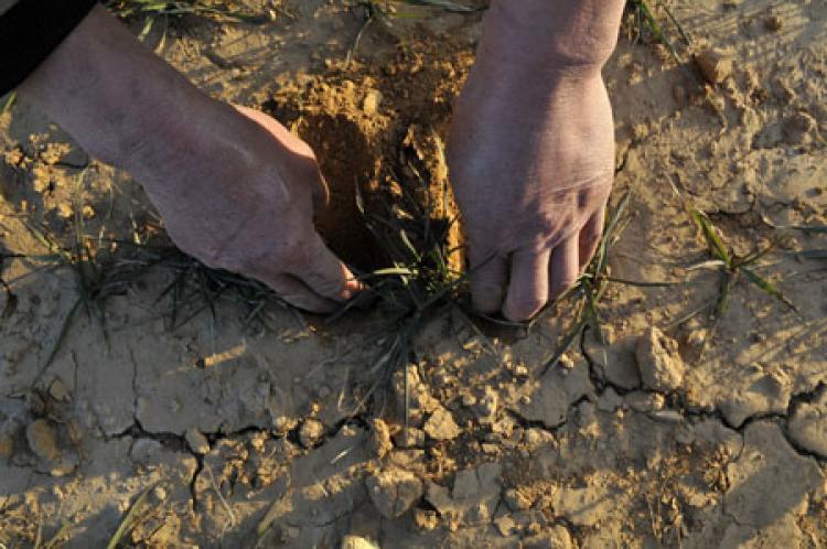 <a><img src="https://www.theepochtimes.com/assets/uploads/2015/09/108300564.jpg" alt="A villager inspects the drought situation on his farmland on January 24, 2011 in Rizhao, Shandong province of China. Severe droughts threatens Northern China's wheat production as the country's food market will likely face a shortage. (ChinaFotoPress/Getty Images)" title="A villager inspects the drought situation on his farmland on January 24, 2011 in Rizhao, Shandong province of China. Severe droughts threatens Northern China's wheat production as the country's food market will likely face a shortage. (ChinaFotoPress/Getty Images)" width="320" class="size-medium wp-image-1808457"/></a>