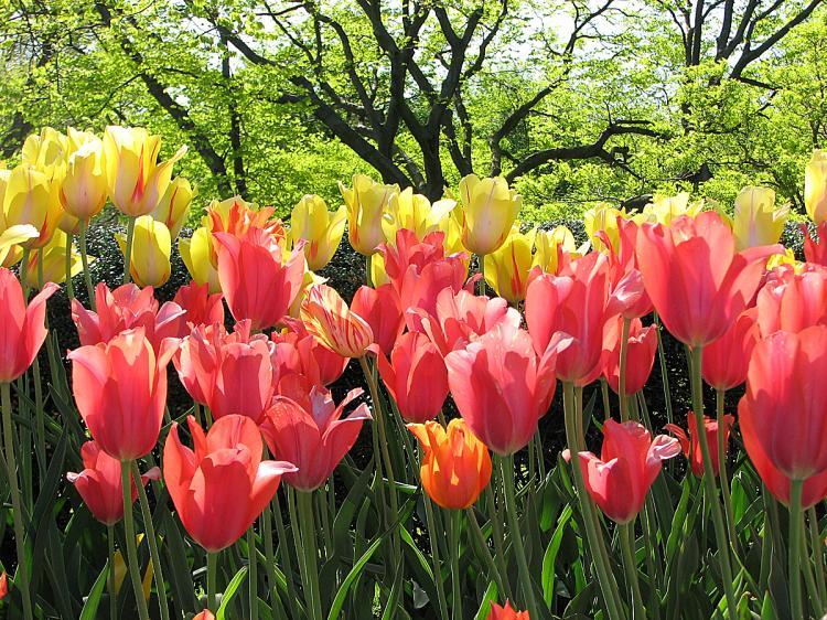 <a><img src="https://www.theepochtimes.com/assets/uploads/2015/09/1143488stockxchng.jpg" alt=" (Phunphoto/Stock.xchng)" title=" (Phunphoto/Stock.xchng)" width="320" class="size-medium wp-image-1828705"/></a>