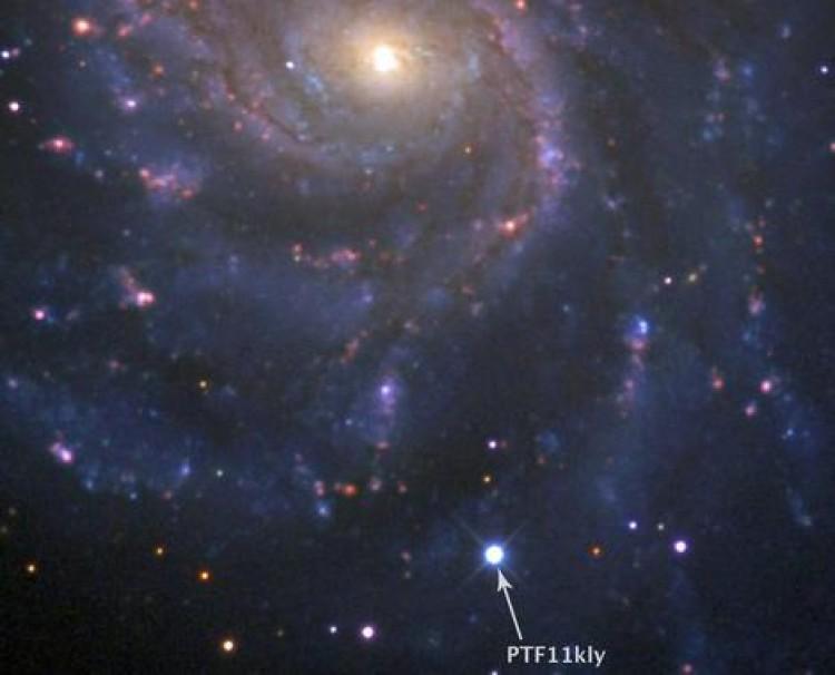 <a><img class="size-medium wp-image-1798058" title="The supernova is in the pinwheel galaxy. (BJ Fulton/LCOGT)" src="https://www.theepochtimes.com/assets/uploads/2015/09/13054_supernova_brightest_no_label-1.jpg" alt="The supernova is in the pinwheel galaxy. (BJ Fulton/LCOGT)" width="590"/></a>