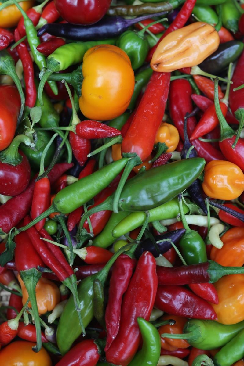 <a><img class="size-large wp-image-1772443" title="Growers And Enthusiasts Enjoy The RHS London Harvest Festival Show" src="https://www.theepochtimes.com/assets/uploads/2015/09/153799387Dan+KitwoodGetty+Images.jpg" alt="" width="590" height="442"/></a>