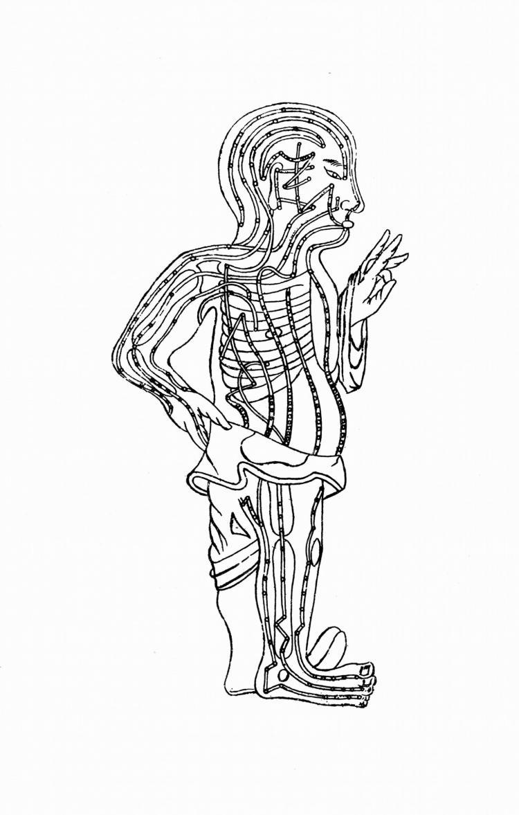 <a><img src="https://www.theepochtimes.com/assets/uploads/2015/09/36954524-organflows.jpg" alt="A drawing of organ meridian energy flows. As with organs, each organ flow becomes more active at a specific time of the day. (Photos.com)" title="A drawing of organ meridian energy flows. As with organs, each organ flow becomes more active at a specific time of the day. (Photos.com)" width="320" class="size-medium wp-image-1832862"/></a>