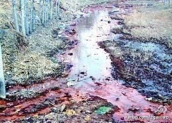 <a><img class=" wp-image-1769767" src="https://www.theepochtimes.com/assets/uploads/2015/09/562f4083jw1e2adogmgruj.jpg" alt="" width="320" height="230"/></a>