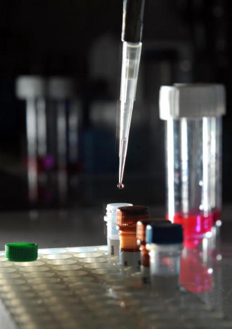 <a><img src="https://www.theepochtimes.com/assets/uploads/2015/09/86347602.jpg" alt="Britain's DNA database grew without proper oversight, becoming an impetus for police to make arrests in order to add samples to it, according to a new report. (Leon Neal/AFP/Getty Images)" title="Britain's DNA database grew without proper oversight, becoming an impetus for police to make arrests in order to add samples to it, according to a new report. (Leon Neal/AFP/Getty Images)" width="320" class="size-medium wp-image-1825036"/></a>