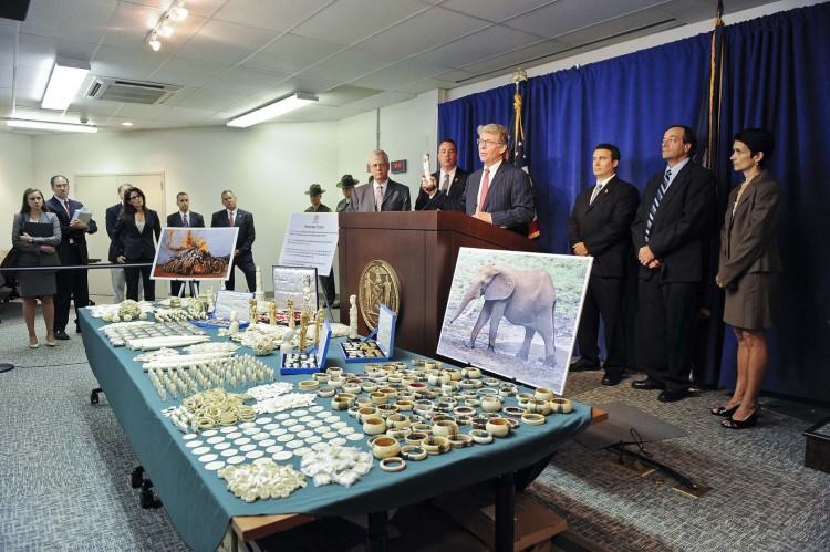 <a><img class="size-large wp-image-1785000" title="Manhattan District Attorney Cyrus Vance Jr. speaks at a press conference on July 12 in front of confiscated trinkets and jewelry made out of ivory that were being illegally sold in Manhattan" src="https://www.theepochtimes.com/assets/uploads/2015/09/DA+Vance+Ivory+Press+Conference+1+28229.jpg" alt="Manhattan District Attorney Cyrus Vance Jr. speaks at a press conference on July 12 in front of confiscated trinkets and jewelry made out of ivory that were being illegally sold in Manhattan" width="590" height="392"/></a>