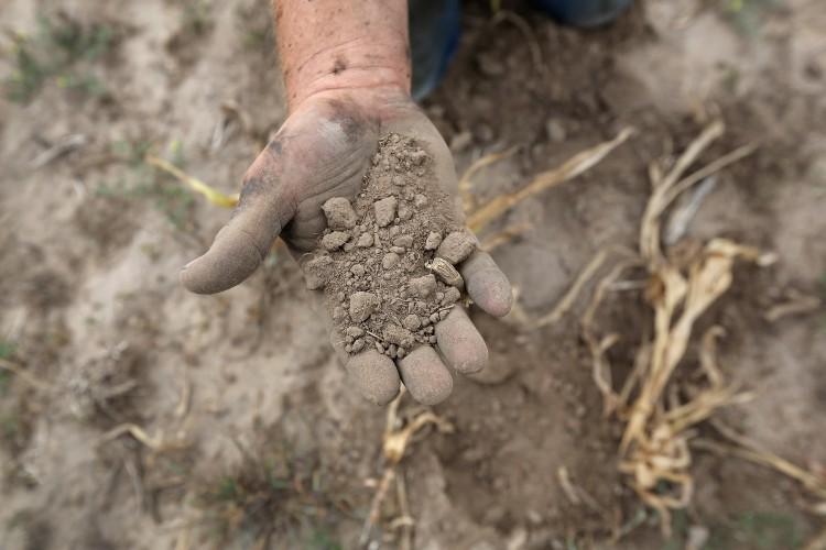 <a><img class="size-large wp-image-1772953" src="https://www.theepochtimes.com/assets/uploads/2015/09/Drought1_150723365.jpg" alt=" A farmer sifts through arid topsoil under a ruined crop on the family farm in Logan, Kan., in August. The drought of 2012 had a devastating effect on farmers in the Midwest. (John Moore/Getty Images)" width="590" height="393"/></a>