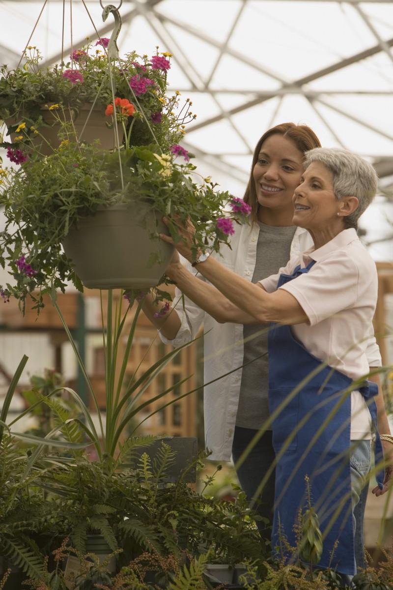 <a><img class="size-medium wp-image-1769960" src="https://www.theepochtimes.com/assets/uploads/2015/09/Flower-Shop-Family-Business-PhotosCom-80408761.jpg" alt="" width="233" height="350"/></a>