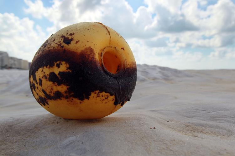 <a><img src="https://www.theepochtimes.com/assets/uploads/2015/09/OilSpill_102460872.jpg" alt="OILY: Buoy on Orange Beach, Alabama. (Joe Raedle/Getty Images)" title="OILY: Buoy on Orange Beach, Alabama. (Joe Raedle/Getty Images)" width="320" class="size-medium wp-image-1816157"/></a>