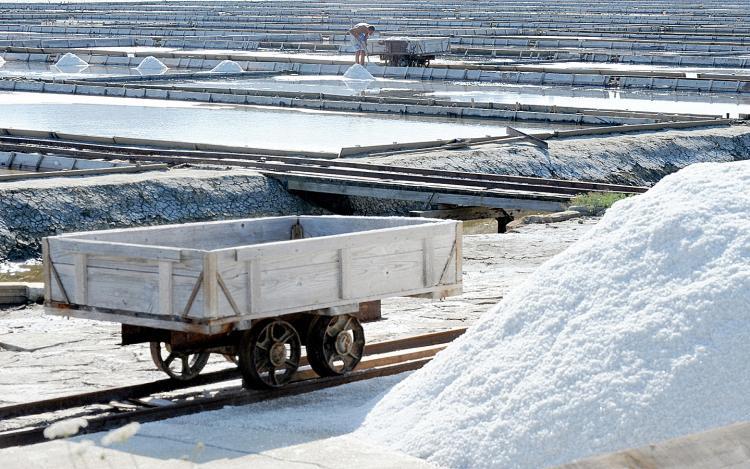 <a><img src="https://www.theepochtimes.com/assets/uploads/2015/09/SaltCollecting.jpg" alt="A man collects salt in the ancient Piran Soline salt plant in the Republic of Slovenia where workers collect the mineral as they used to in the 14th century. (Hrvoje Polan/AFP/Getty Images)" title="A man collects salt in the ancient Piran Soline salt plant in the Republic of Slovenia where workers collect the mineral as they used to in the 14th century. (Hrvoje Polan/AFP/Getty Images)" width="320" class="size-medium wp-image-1826906"/></a>