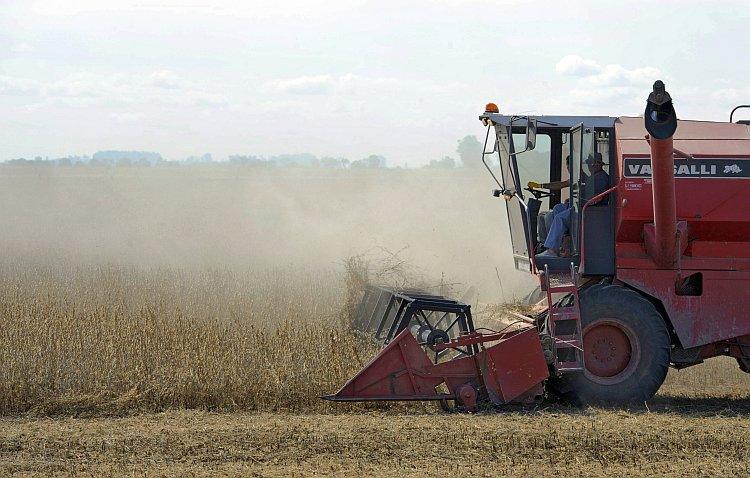 <a><img class="size-large wp-image-1784544" title="A congressional provision makes approval for bioengineered crops" src="https://www.theepochtimes.com/assets/uploads/2015/09/Soybeans.jpg" alt="A congressional provision makes approval for bioengineered crops" width="590" height="376"/></a>