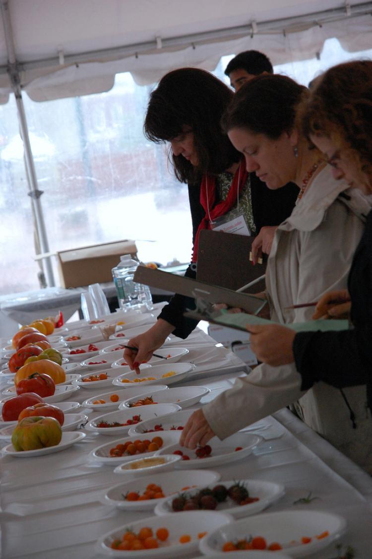 <a><img src="https://www.theepochtimes.com/assets/uploads/2015/09/TomatoFest.jpg" alt="TOMATO TASTING: Judges at the 26th Annual Tomato Festival at Boston's City Hall Plaza evaluate tomatoes of all colors, shapes, and sizes as part of Massachusetts Farmers Market Week. ( COURTESY OF EXECUTIVE OFFICE OF ENERGY AND ENVIRONMENTAL AFFAIRS )" title="TOMATO TASTING: Judges at the 26th Annual Tomato Festival at Boston's City Hall Plaza evaluate tomatoes of all colors, shapes, and sizes as part of Massachusetts Farmers Market Week. ( COURTESY OF EXECUTIVE OFFICE OF ENERGY AND ENVIRONMENTAL AFFAIRS )" width="320" class="size-medium wp-image-1814847"/></a>