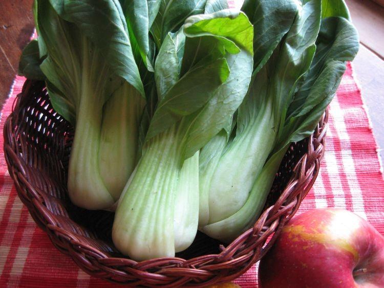 <a><img src="https://www.theepochtimes.com/assets/uploads/2015/09/bokchoy+004.jpg" alt="BABY BOK CHOY: The smaller varieties of bok choy are more valued in Asian countries for their tender leaves. (Maureen Zebian/The Epoch Times)" title="BABY BOK CHOY: The smaller varieties of bok choy are more valued in Asian countries for their tender leaves. (Maureen Zebian/The Epoch Times)" width="320" class="size-medium wp-image-1803178"/></a>