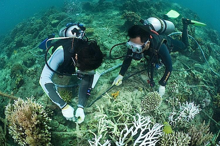 <a><img src="https://www.theepochtimes.com/assets/uploads/2015/09/divers.jpg" alt="An employee from Global Offshore Divers Inc. operates a remote operating vehicle while it conducts a survey of the Princess Kathleen in Juneau, Alaska, on Feb. 18. (U.S. Coast Guard)" title="An employee from Global Offshore Divers Inc. operates a remote operating vehicle while it conducts a survey of the Princess Kathleen in Juneau, Alaska, on Feb. 18. (U.S. Coast Guard)" width="320" class="size-medium wp-image-1801484"/></a>
