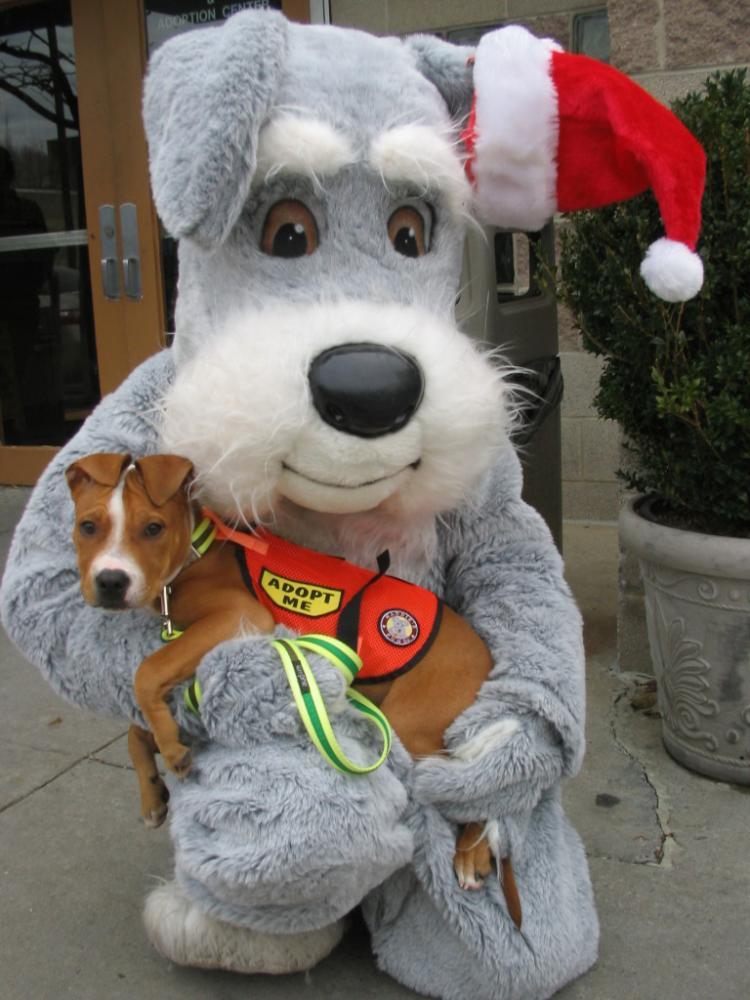 <a><img src="https://www.theepochtimes.com/assets/uploads/2015/09/dogs.jpg" alt="Maddie's Fund mascot holds an adoptable pet. The fund, set up by Dave Duffield and his wife Cheryl, is helping to create a no-kill nation where all healthy and treatable shelter dogs and cats are guaranteed a loving home. (Courtesy The Mayor's Alliance for New York City's Animals)" title="Maddie's Fund mascot holds an adoptable pet. The fund, set up by Dave Duffield and his wife Cheryl, is helping to create a no-kill nation where all healthy and treatable shelter dogs and cats are guaranteed a loving home. (Courtesy The Mayor's Alliance for New York City's Animals)" width="320" class="size-medium wp-image-1831131"/></a>