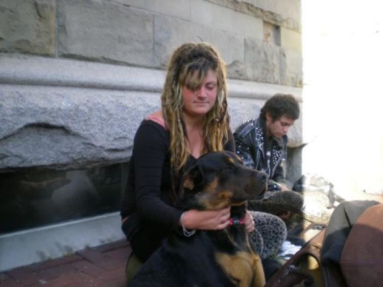 <a><img src="https://www.theepochtimes.com/assets/uploads/2015/09/homeless1.jpg" alt="HOMELESS YOUTH: Homelessness continues to rise across the country, affecting even the middle class and those who are employed. (Joan Delaney/The Epoch Times )" title="HOMELESS YOUTH: Homelessness continues to rise across the country, affecting even the middle class and those who are employed. (Joan Delaney/The Epoch Times )" width="320" class="size-medium wp-image-1833520"/></a>