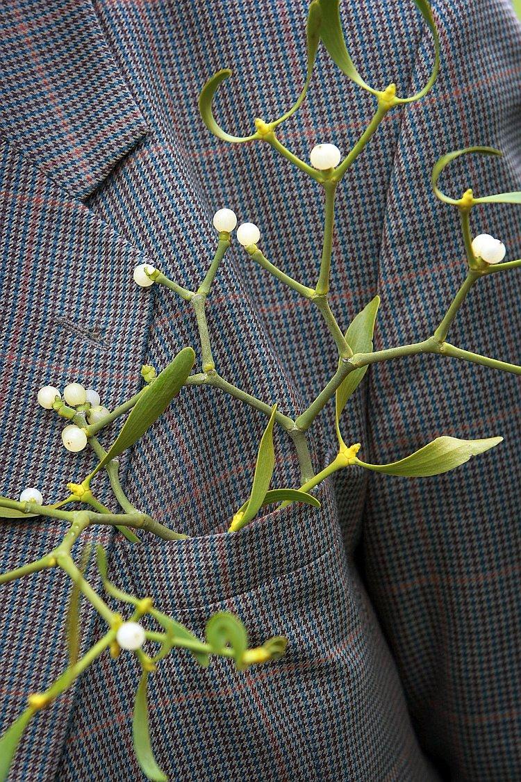 <a><img class="size-large wp-image-1794739" src="https://www.theepochtimes.com/assets/uploads/2015/09/mistle78071510.jpg" alt="Mistletoe Farmer Harvests His Crop For Christmas" width="354" height="531"/></a>