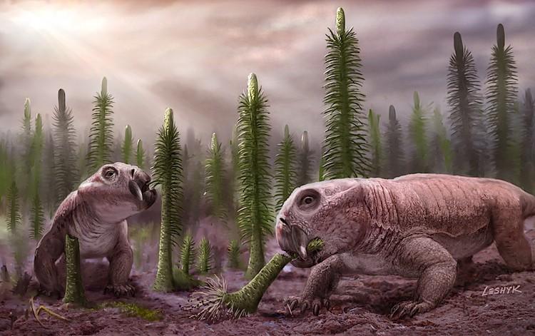 <a><img src="https://www.theepochtimes.com/assets/uploads/2015/09/permianreptiles.jpg" alt="Lystrosaurus was one of a handful of 'disaster taxa' to escape the Permian Period, along with the meter-high spore-tree Pleuromeia. (Victor Leshyk)" title="Lystrosaurus was one of a handful of 'disaster taxa' to escape the Permian Period, along with the meter-high spore-tree Pleuromeia. (Victor Leshyk)" width="590" class="size-medium wp-image-1795854"/></a>