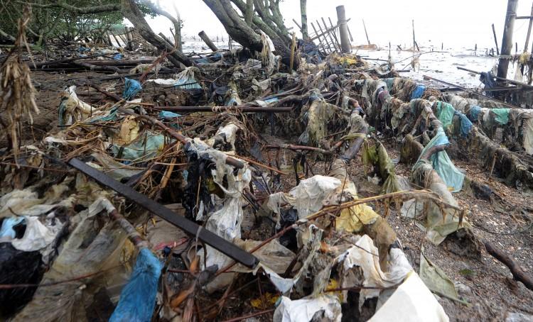 <a><img class="size-full wp-image-1769738" src="https://www.theepochtimes.com/assets/uploads/2015/09/plast-bag.jpg" alt="" width="750" height="454"/></a>