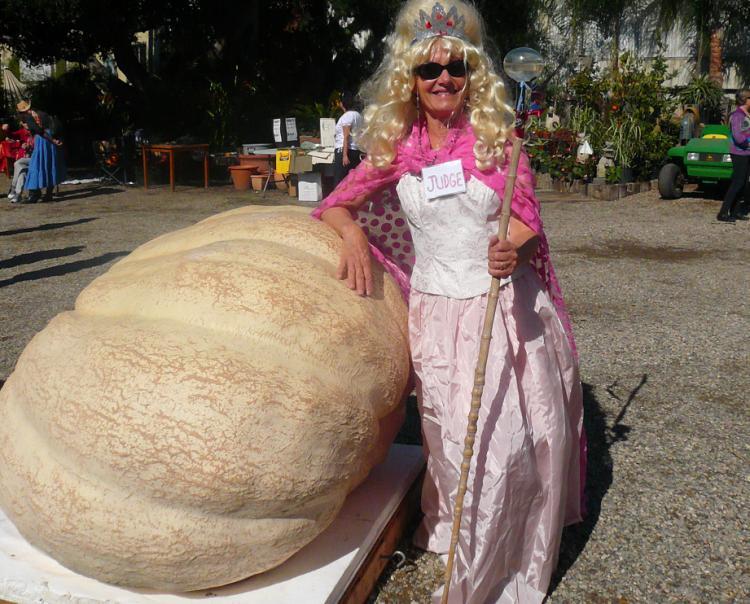 <a><img src="https://www.theepochtimes.com/assets/uploads/2015/09/pumpkin005crsm40.jpg" alt="Winner - 'Terminator' at 1,138 lbs. sits next to the judge of the competition, Lisa Cullen. (Philip Concan)" title="Winner - 'Terminator' at 1,138 lbs. sits next to the judge of the competition, Lisa Cullen. (Philip Concan)" width="320" class="size-medium wp-image-1812218"/></a>