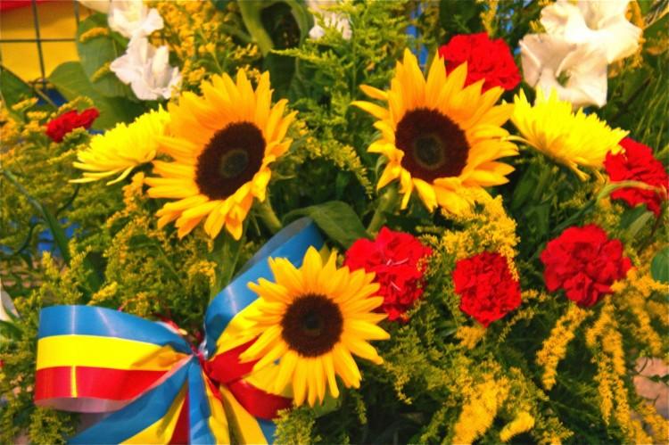 <a><img src="https://www.theepochtimes.com/assets/uploads/2015/09/rom.jpg" alt="Pelican colony near Partizani village in the Danube Delta. The Danube Delta Biosphere Reserve was one of the locations that received the Pomme d‘Or award this year. (Adrian Silisteanu/AFP/Getty Images)" title="Pelican colony near Partizani village in the Danube Delta. The Danube Delta Biosphere Reserve was one of the locations that received the Pomme d‘Or award this year. (Adrian Silisteanu/AFP/Getty Images)" width="320" class="size-medium wp-image-1782001"/></a>