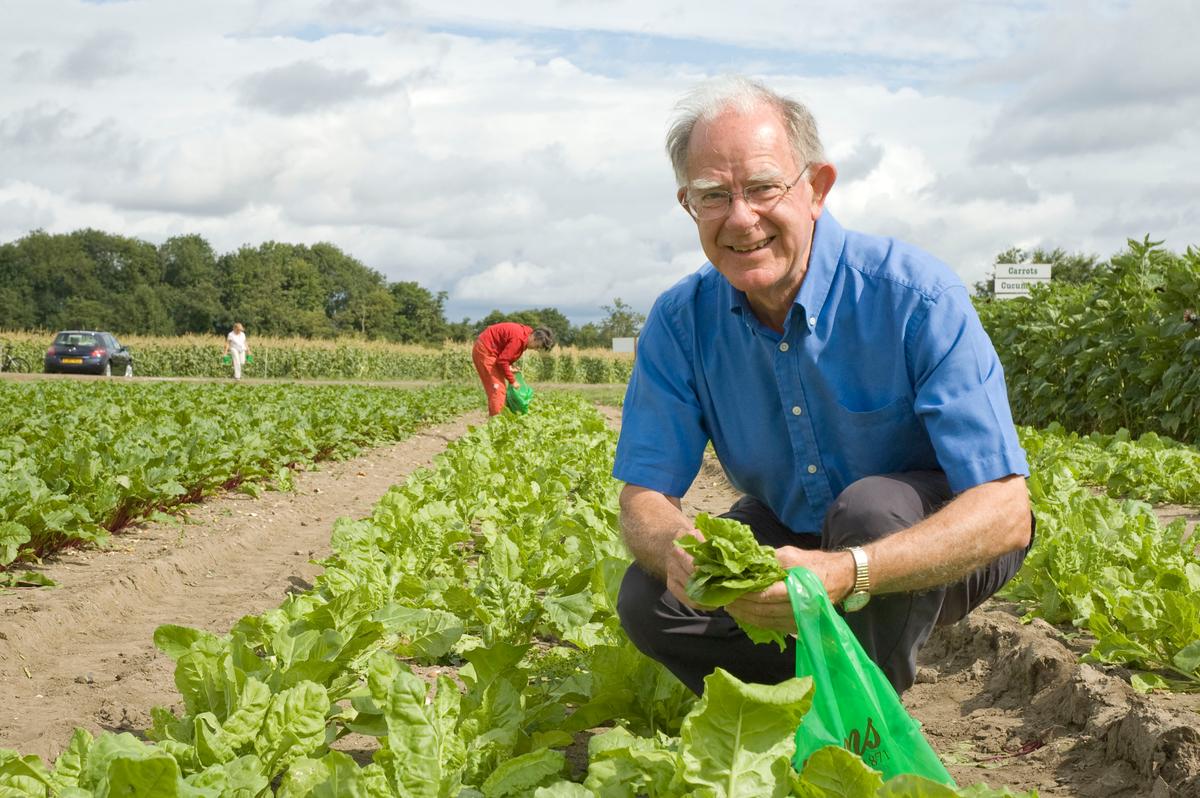 <a><img src="https://www.theepochtimes.com/assets/uploads/2015/09/spinachfield.jpg.jpg" alt="Early morning pickers in the spinach fields at Garsons in Surrey, UK (John Smithies/The Epoch Times)" title="Early morning pickers in the spinach fields at Garsons in Surrey, UK (John Smithies/The Epoch Times)" width="320" class="size-medium wp-image-1834189"/></a>