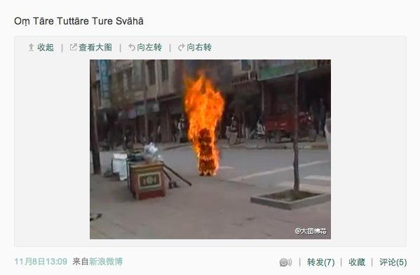 <a><img class="size-medium wp-image-1774645" src="https://www.theepochtimes.com/assets/uploads/2015/09/tibet-nov-7.jpg" alt="" width="350" height="262"/></a>